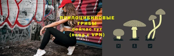 а пвп мука Инсар