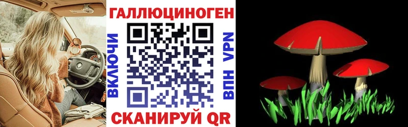 Купить закладки  Верещагино  Псилоцибиновые грибы Psilocybe 